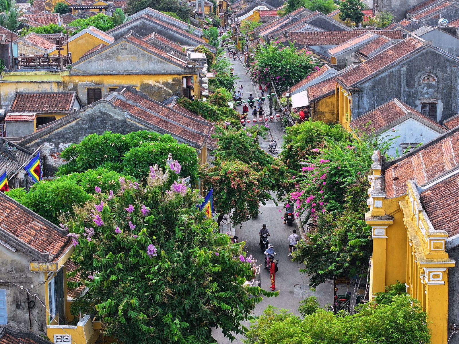 An elevated view of a narrow Hoi An street lined with yellow buildings, tiled roofs, flowering trees and lanterns.
