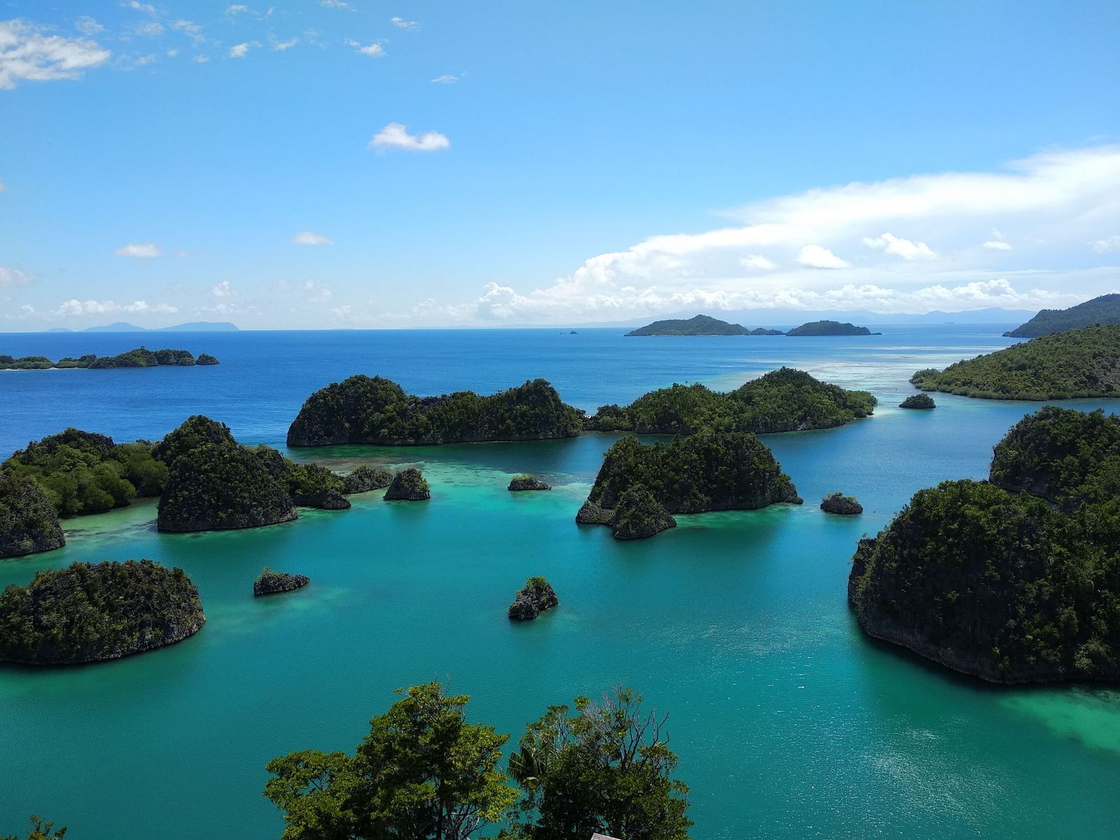 Forest-covered limestone islets sit in turquoise water below the Piaynemo viewpoint.