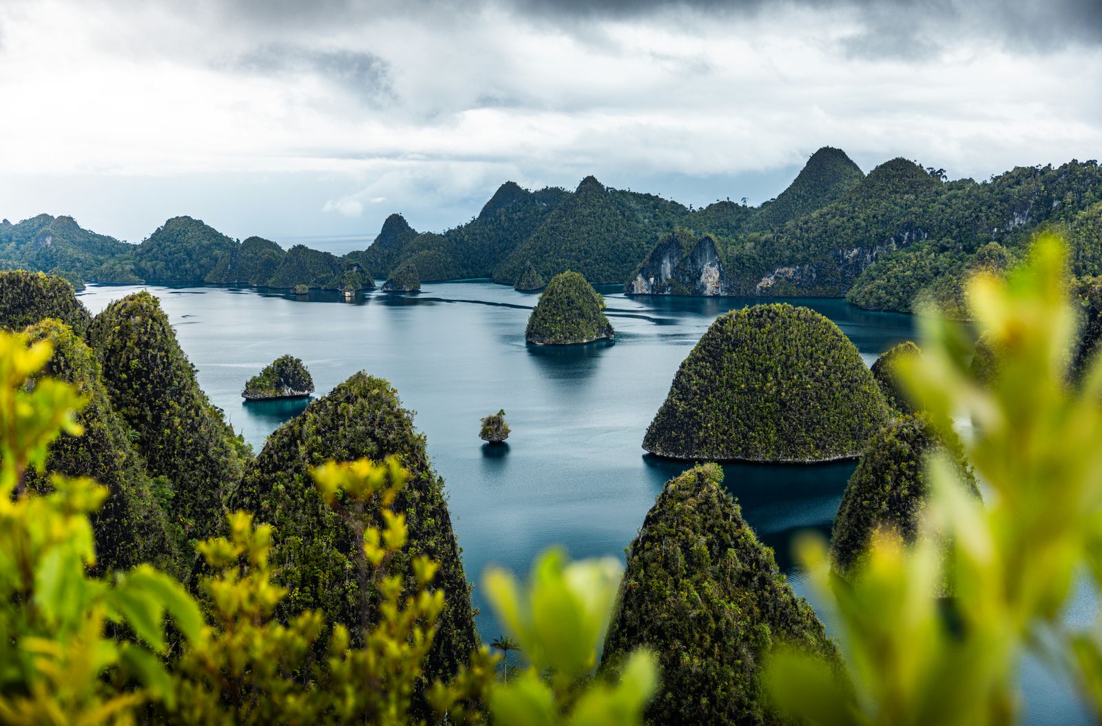 Forest-covered limestone islands rise from the calm waters of Raja Ampat.