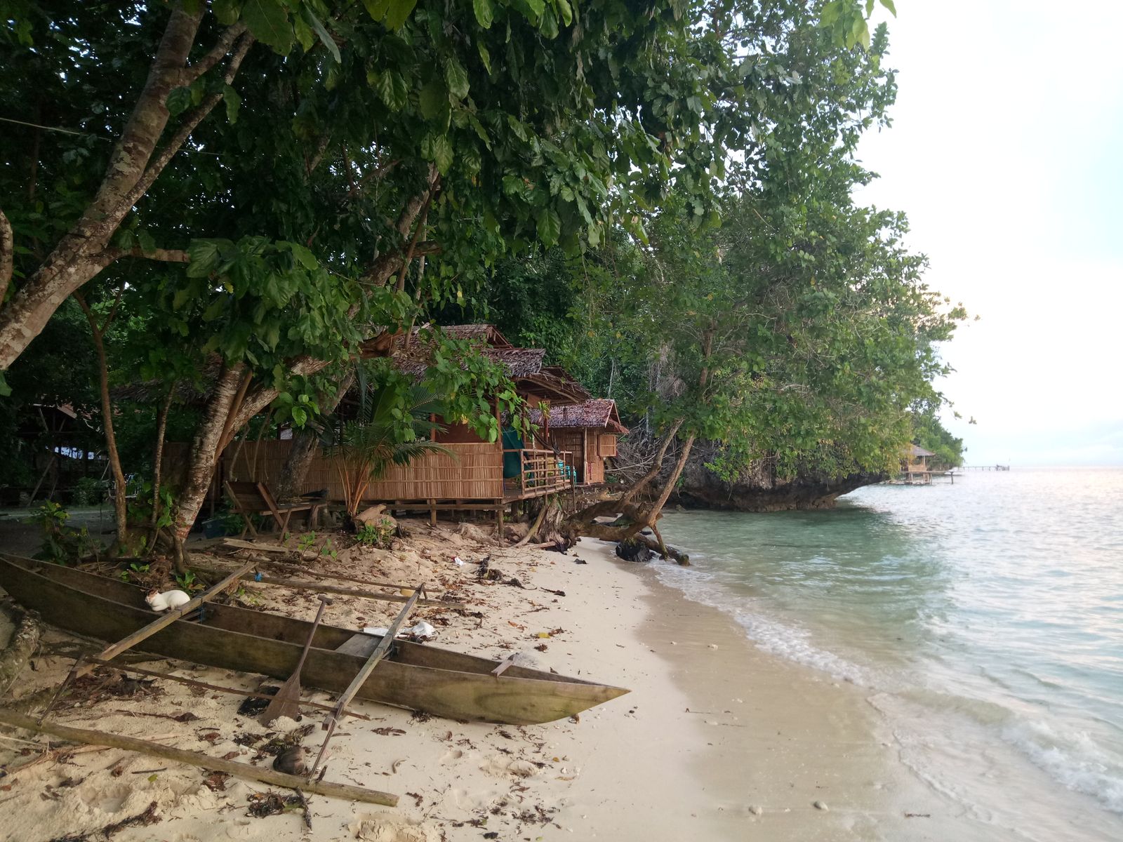 A simple wooden beach bungalow sits beneath trees beside a canoe at Warimpurem Homestay in Raja Ampat.